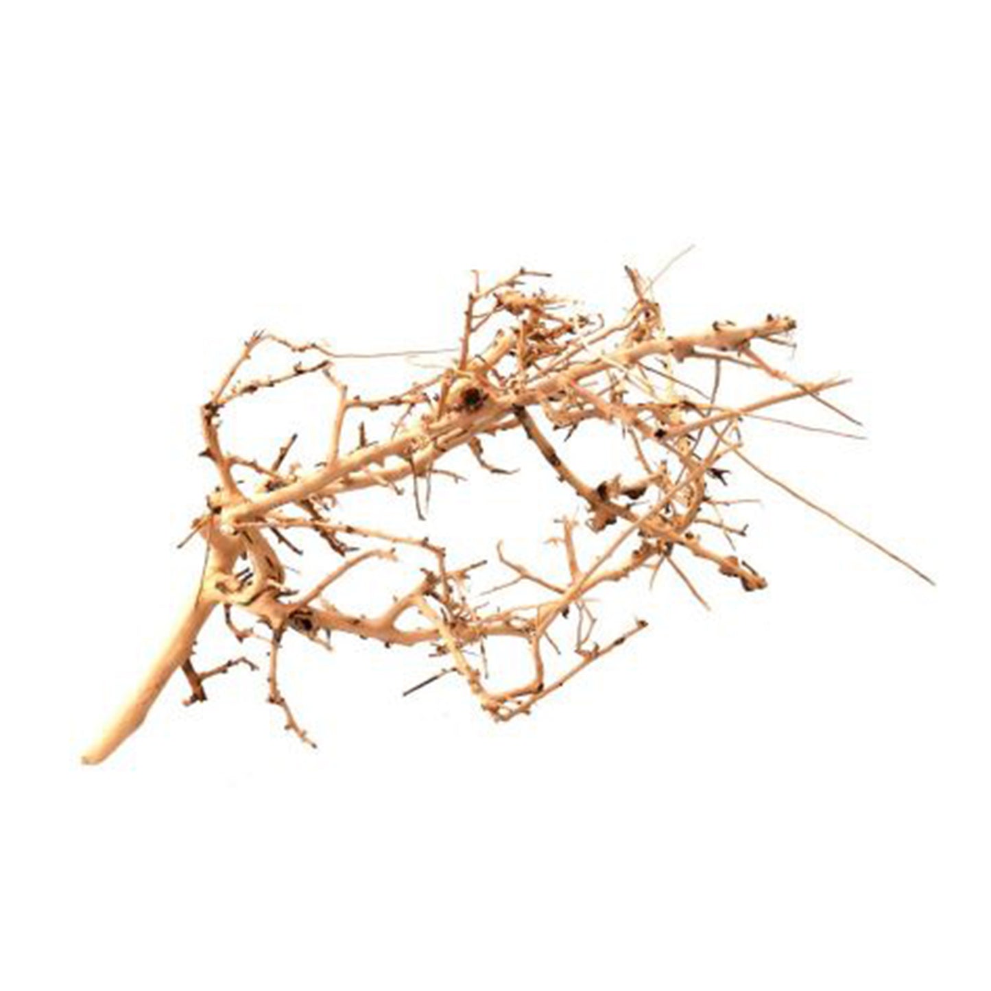 Legno tiny