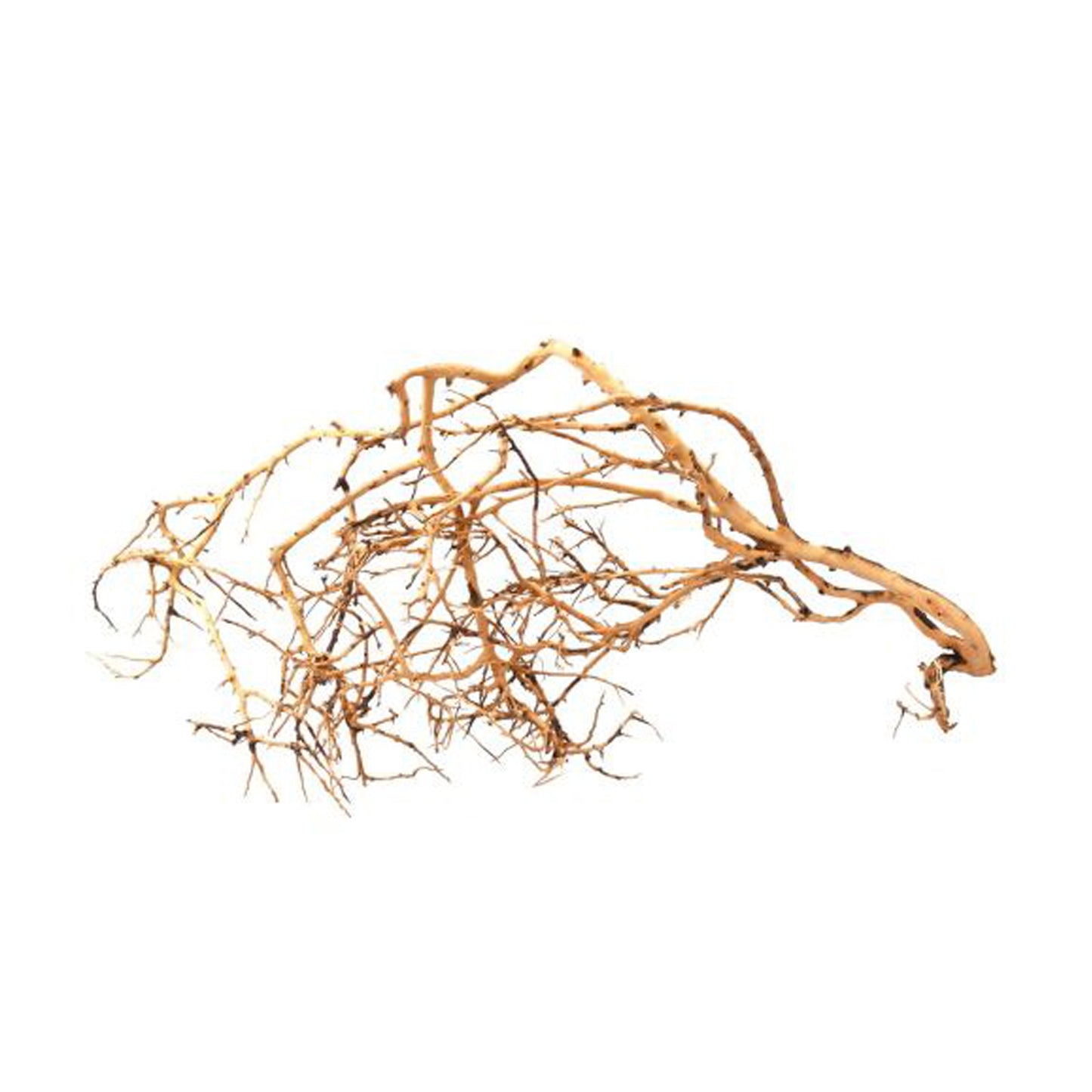 Legno tiny