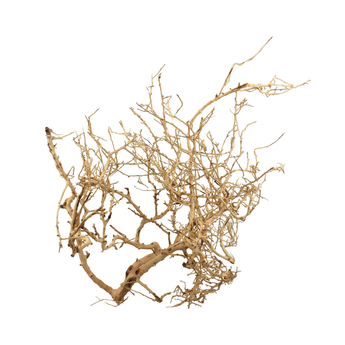Legno tiny