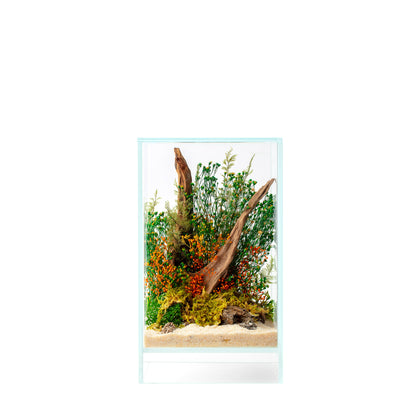 Sparoza