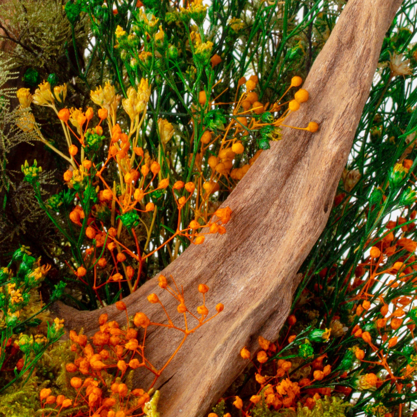 Sparoza