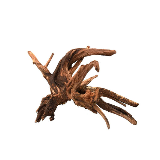 Legno drift