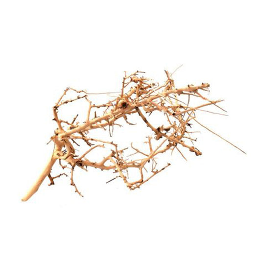 Legno tiny