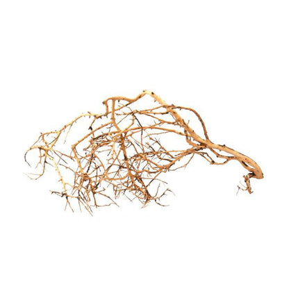 Legno tiny